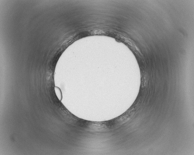 X0000115520521200912181509