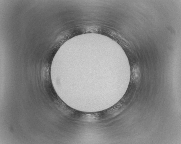 X0000115520522200912181509