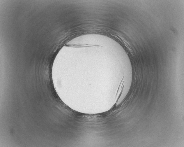 X0000115520524200912181509