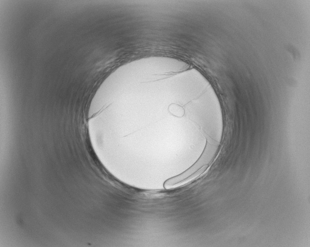 X0000115520528200912181509