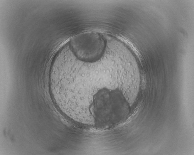 X0000115520529200912181508