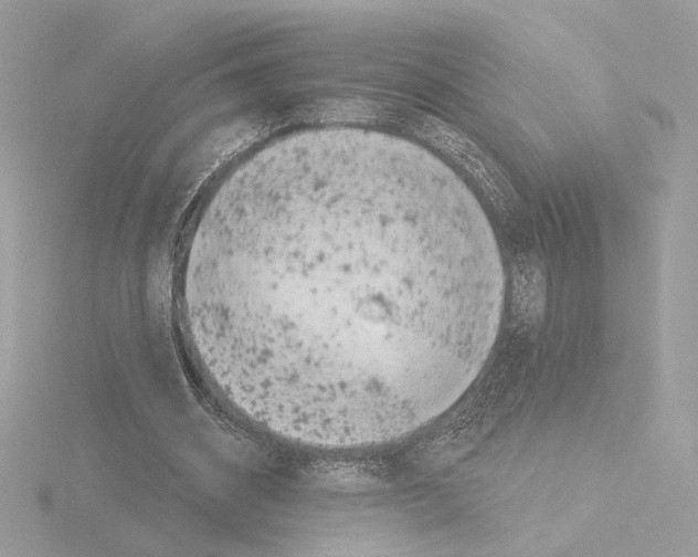 X0000115520534200912181508