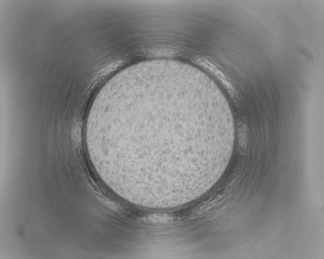 X0000115520537200912181508