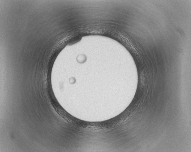 X0000115520538200912181508