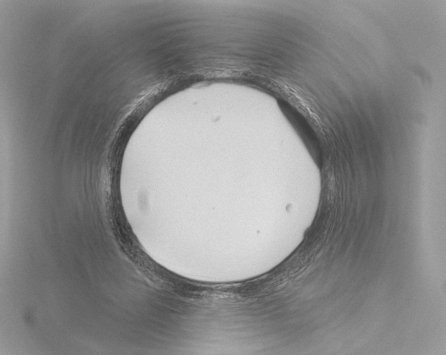 X0000115520539200912181508