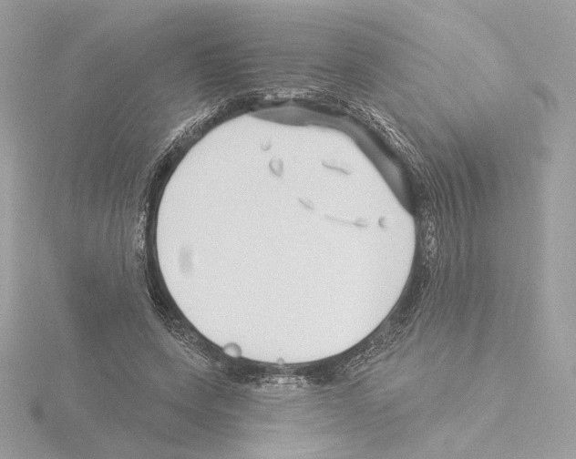 X0000115520543200912181508