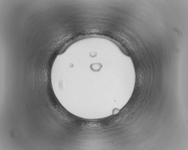 X0000115520546200912181509