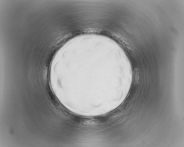 X0000115520550200912181509