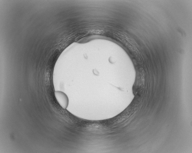 X0000115520551200912181509