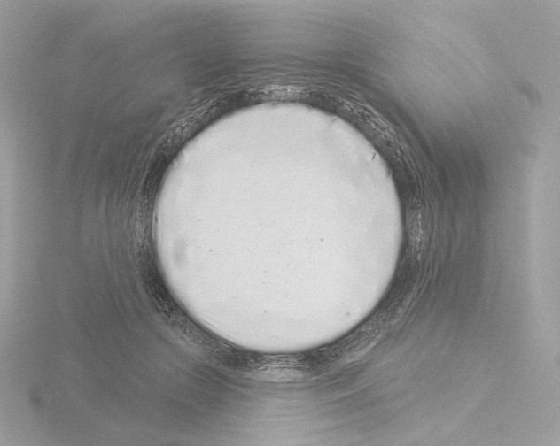 X0000115520553200912181509