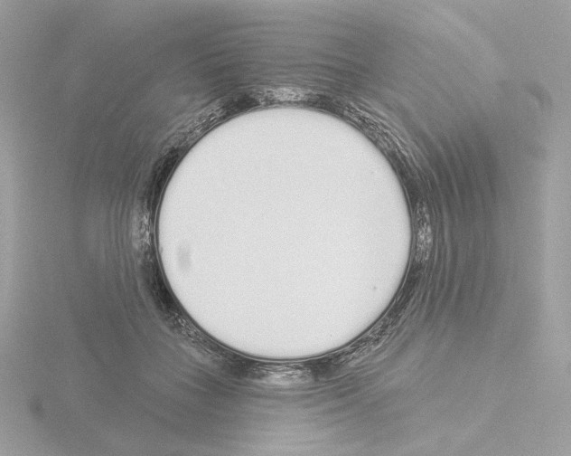 X0000115520555200912181509