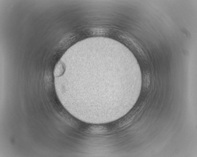 X0000115520557200912181509