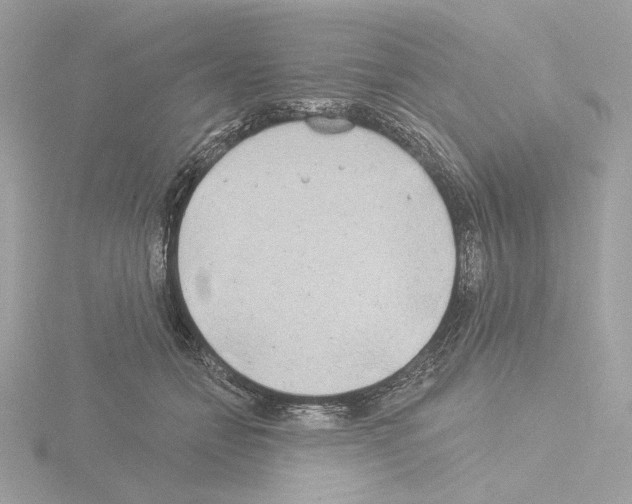 X0000115520558200912181509