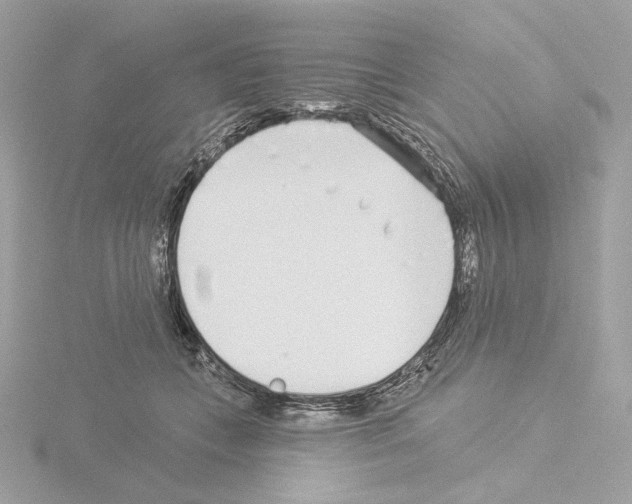 X0000115520559200912181509