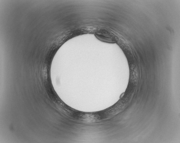 X0000115520562200912181509