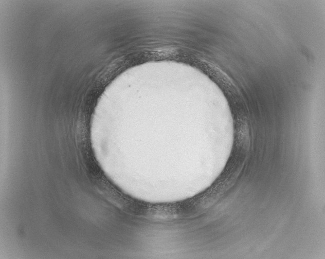 X0000115520565200912181509