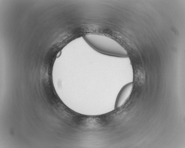 X0000115520566200912181509