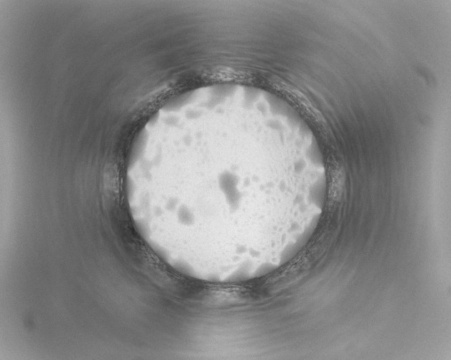 X0000115520569200912181509