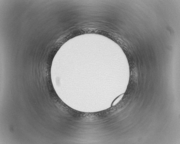 X0000115520570200912181509