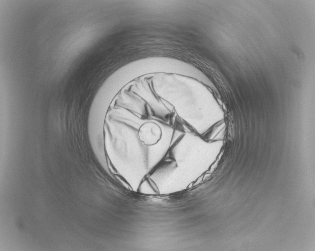 X0000115520573200912181509