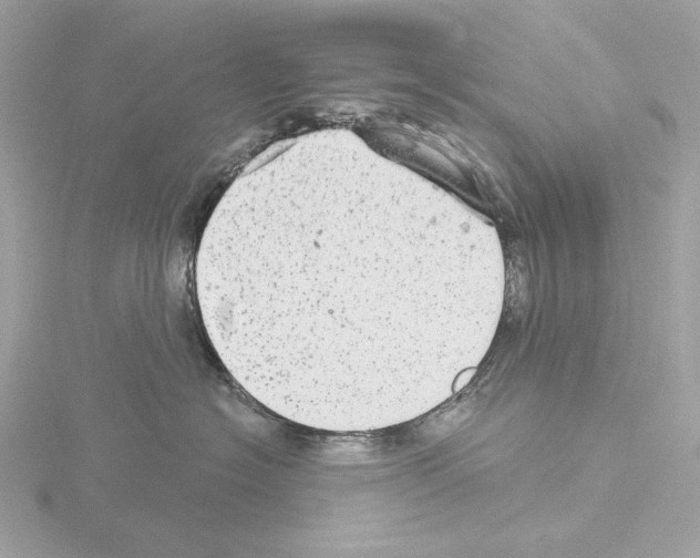 X0000115520574200912181509