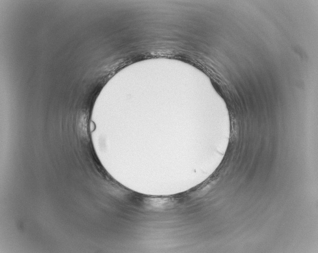 X0000115520575200912181509