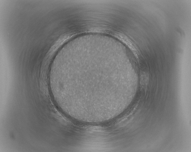 X0000115520577200912181508