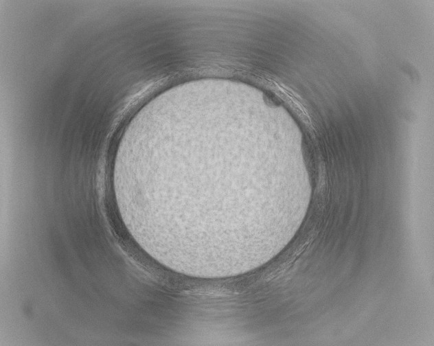 X0000115520578200912181508