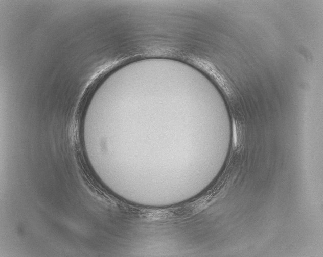 X0000115520579200912181508