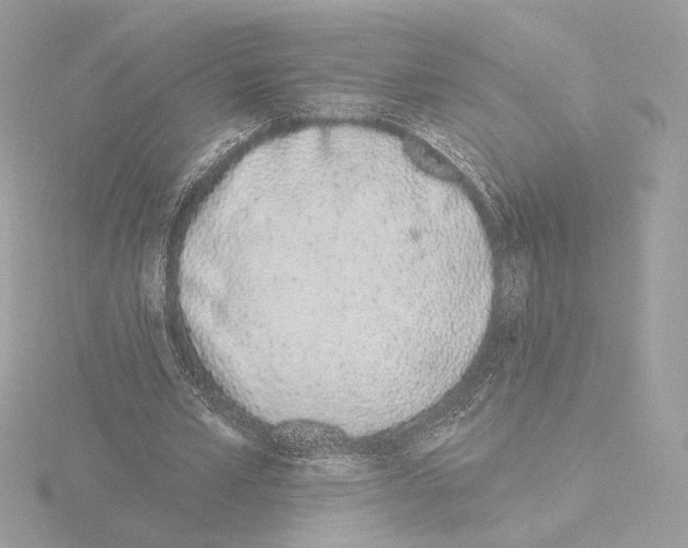 X0000115520581200912181508