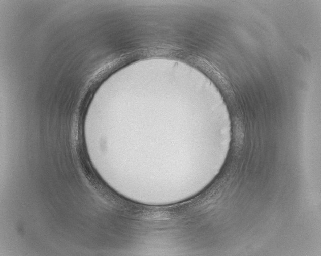 X0000115520582200912181508