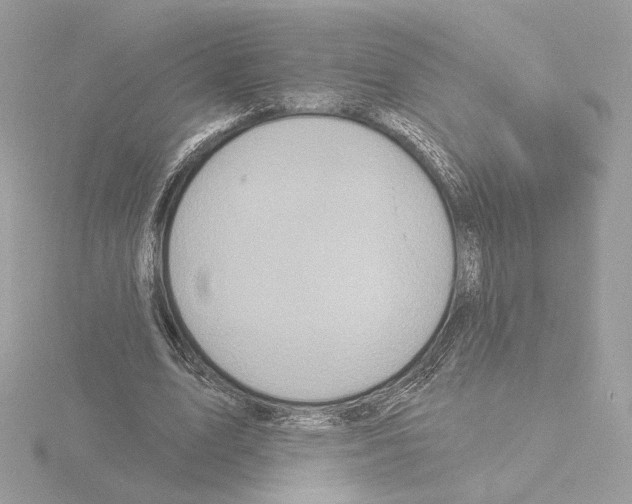 X0000115520583200912181508