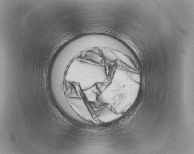 X0000115520585200912181508