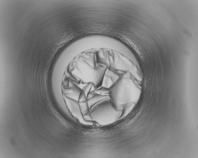 X0000115520589200912181508