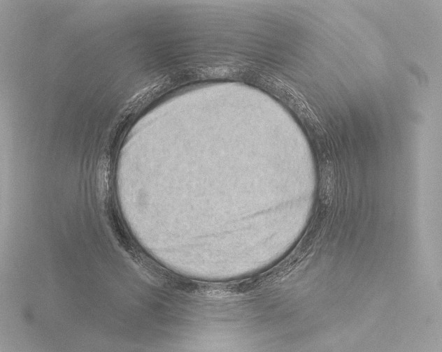 X0000115520590200912181508