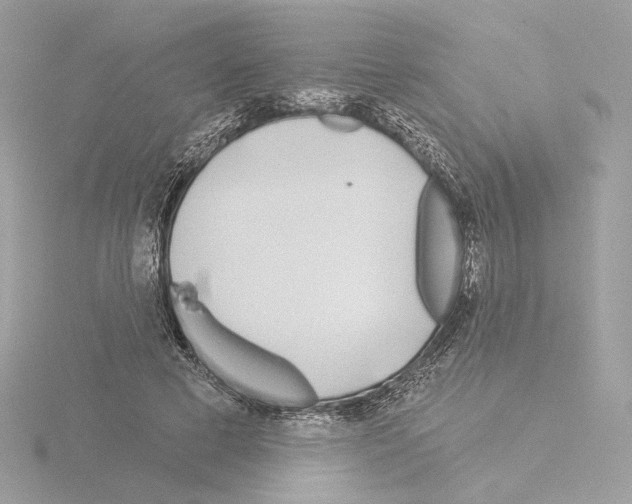 X0000115520593200912181508