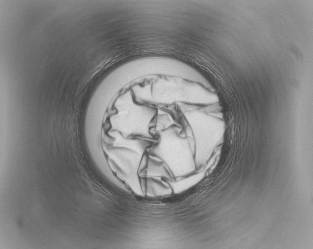 X0000115520595200912181508