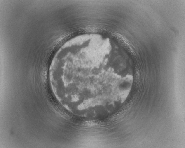 X0000115520596200912181508