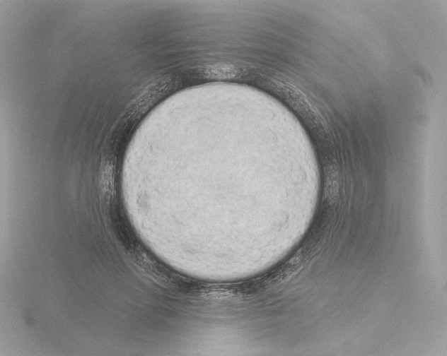 X0000115520598200912181508