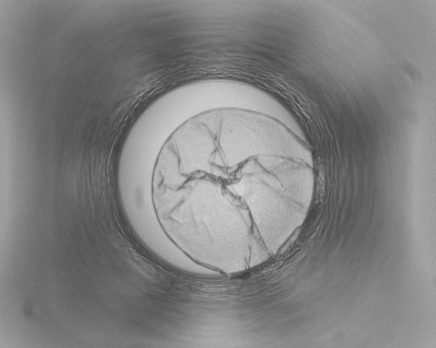 X0000115520601200912181508