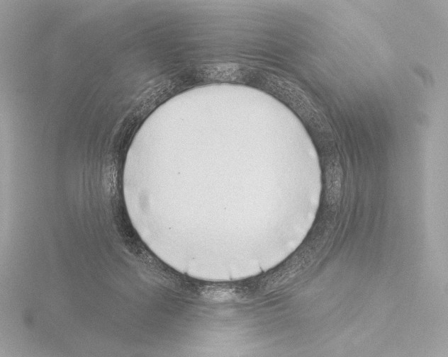 X0000115520602200912181508