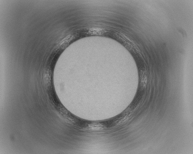 X0000115520603200912181508