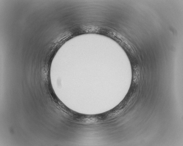 X0000115520604200912181508