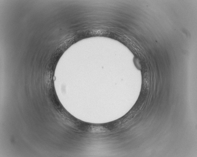 X0000115520605200912181508