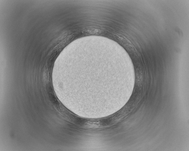 X0000115520606200912181508