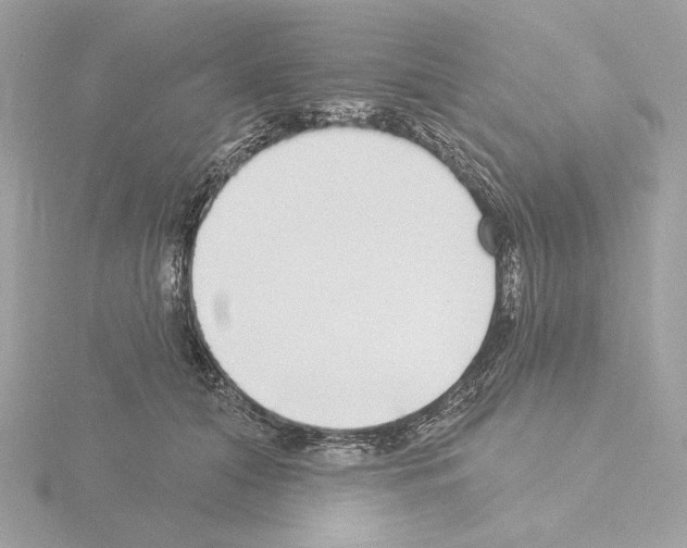 X0000115520608200912181508