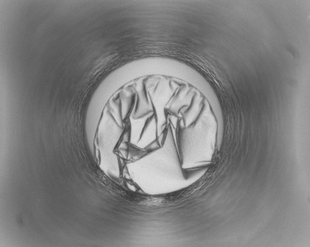 X0000115520609200912181508