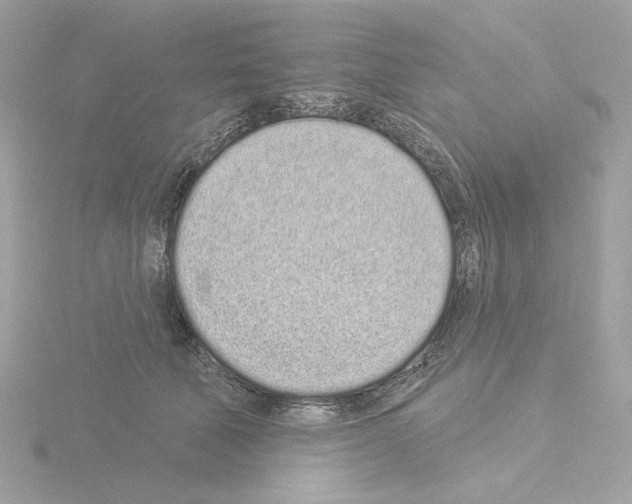 X0000115520610200912181508