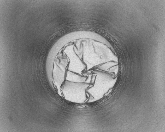 X0000115520611200912181508