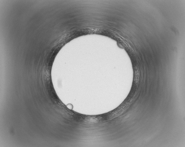 X0000115520613200912181508